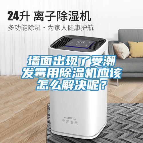 墻面出現了受潮發霉用除濕機應該怎么解決呢？