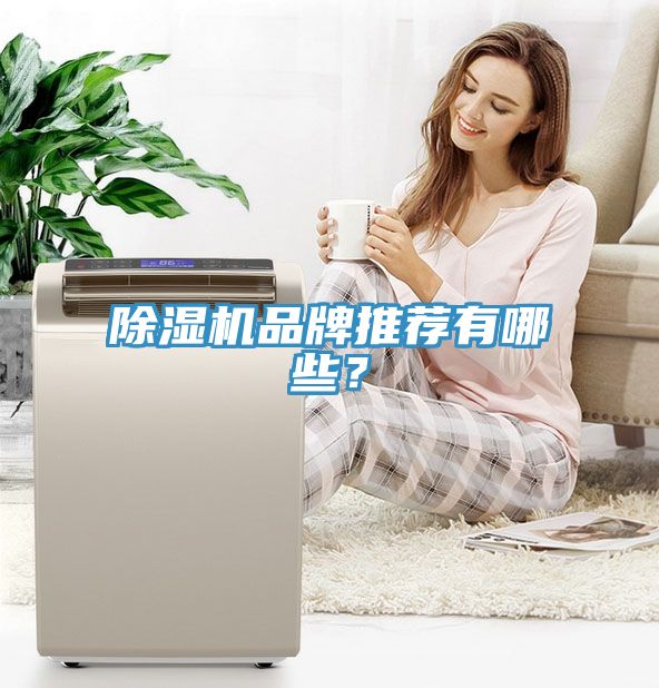 除濕機品牌推薦有哪些？