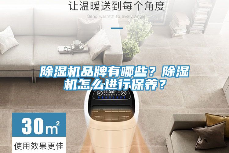 除濕機品牌有哪些？除濕機怎么進行保養？
