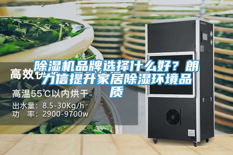 除濕機品牌選擇什么好？朗力信提升家居除濕環境品質
