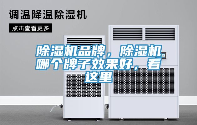 除濕機品牌，除濕機哪個牌子效果好，看這里