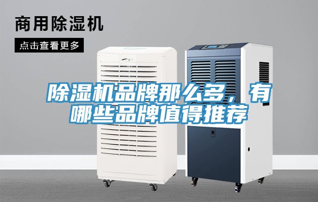 除濕機品牌那么多，有哪些品牌值得推薦
