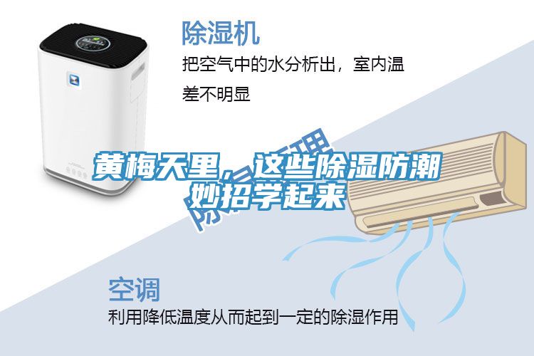 黃梅天里，這些除濕防潮妙招學起來