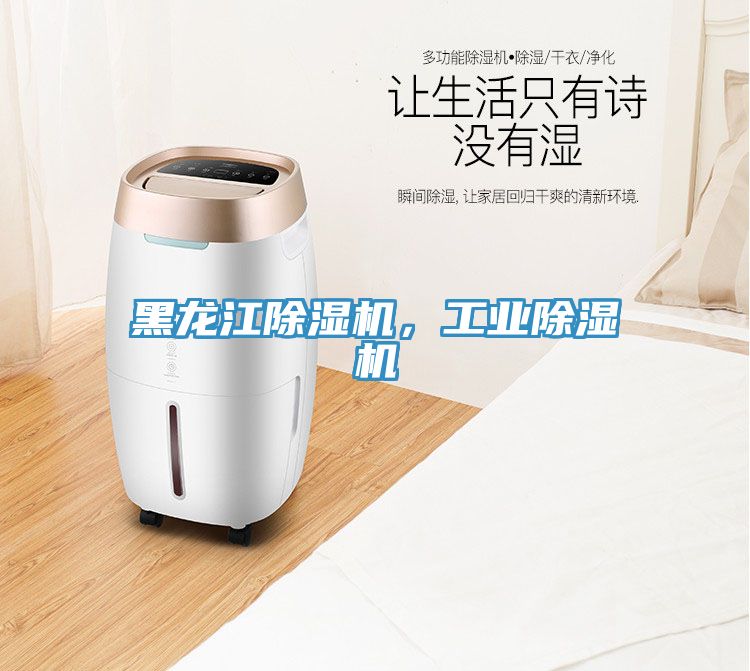 黑龍江除濕機，工業除濕機