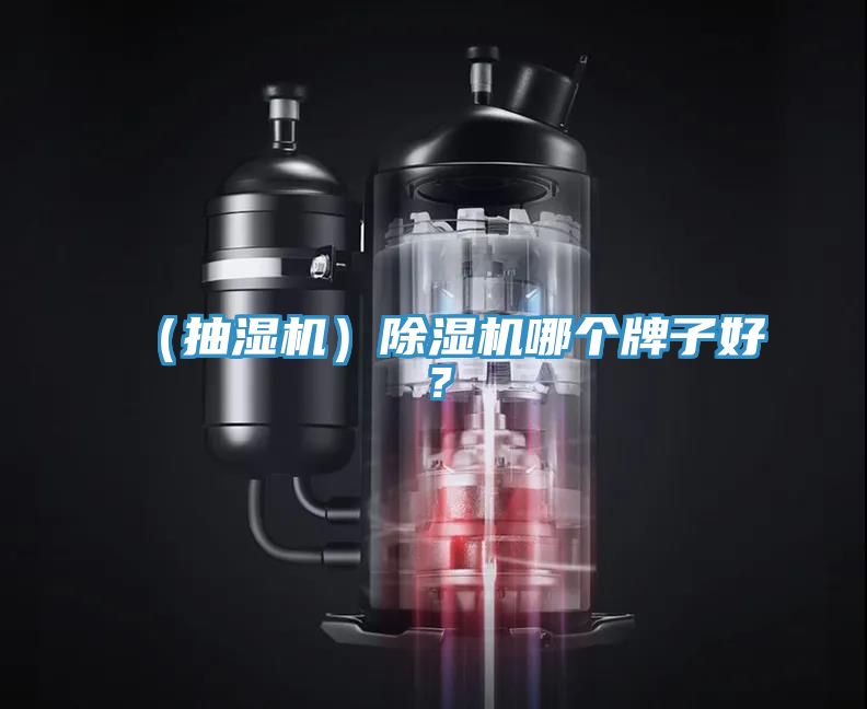 （抽濕機）除濕機哪個牌子好？