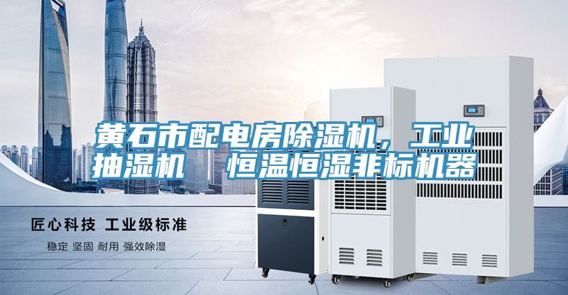 黃石市配電房除濕機，工業抽濕機  恒溫恒濕非標機器